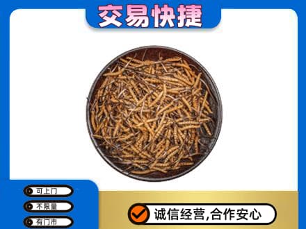 无锡锡山区回收散虫草